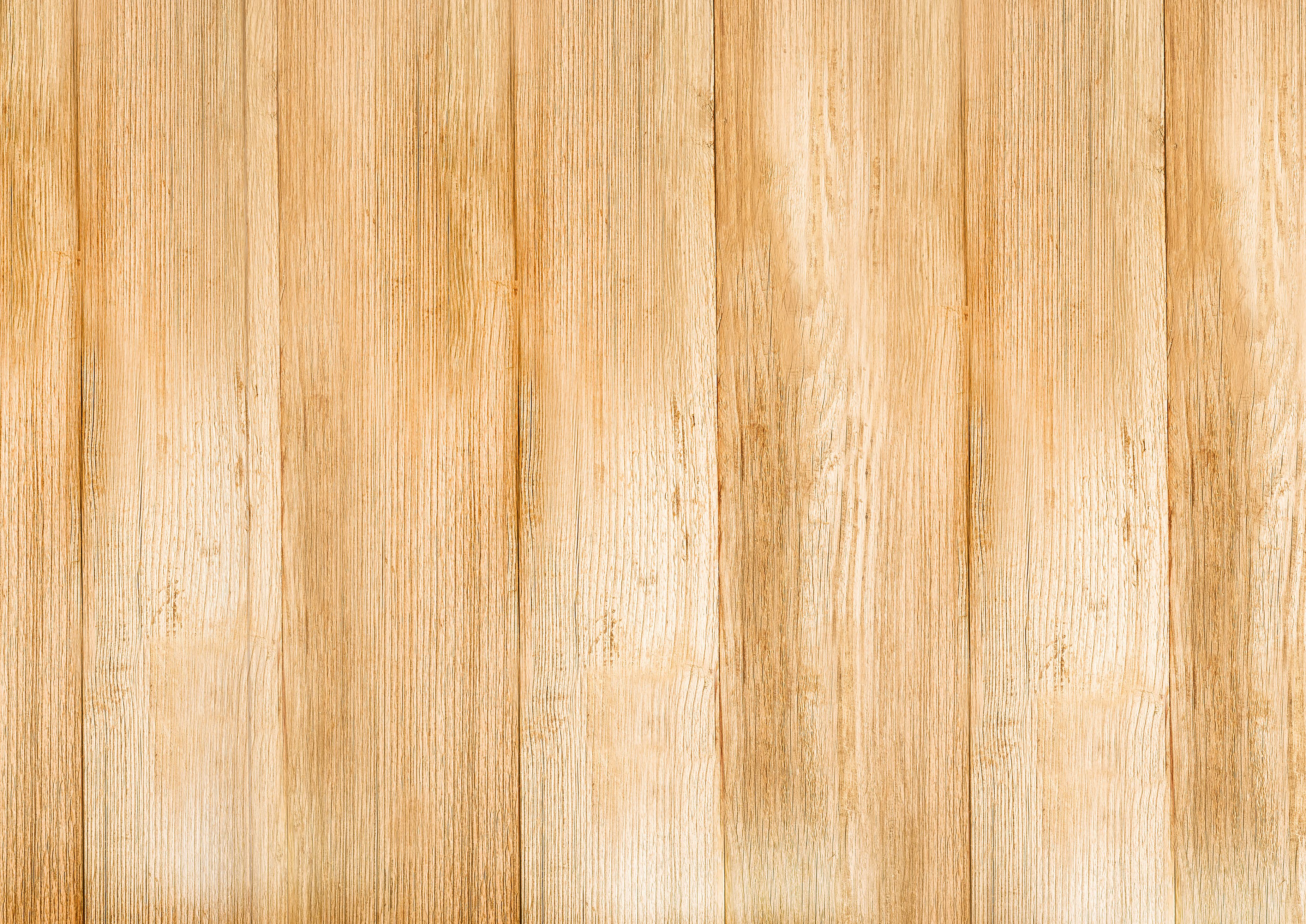 Reinert Sommerwurst Hellholz